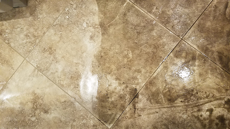 Carpet Cleaning San Diego